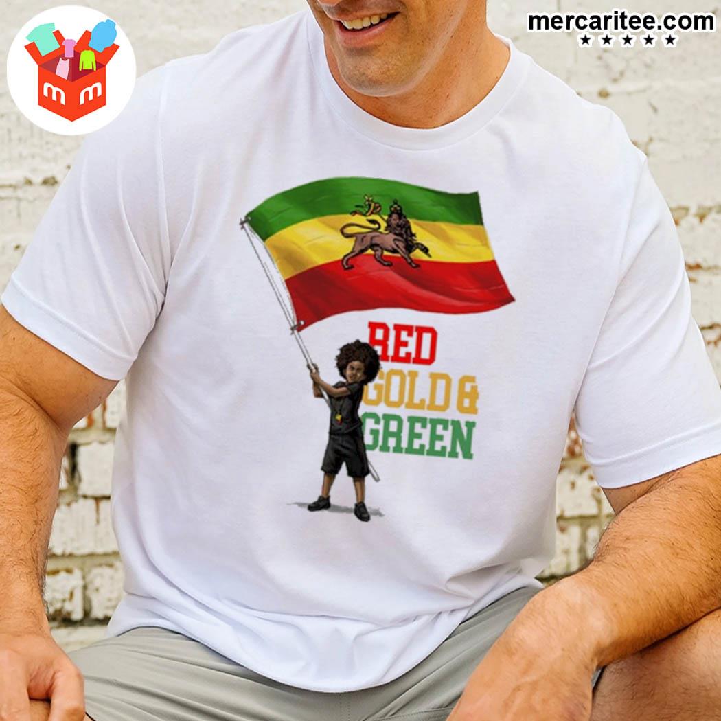 The red gold and green Iran Persian Lion flag t-shirt